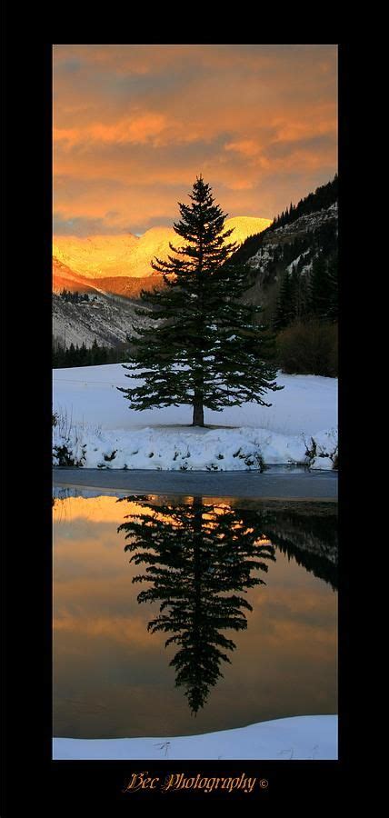 Lone Tree Photograph By Bec Photography Lone Tree Fine