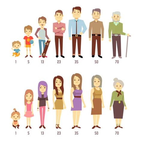 Royalty Free Human Age Clip Art Vector Images And Illustrations Istock