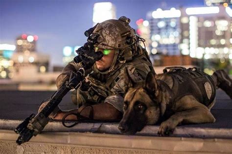 Devgru Dog Handler Providing Overwatch Army Dogs Military Dogs