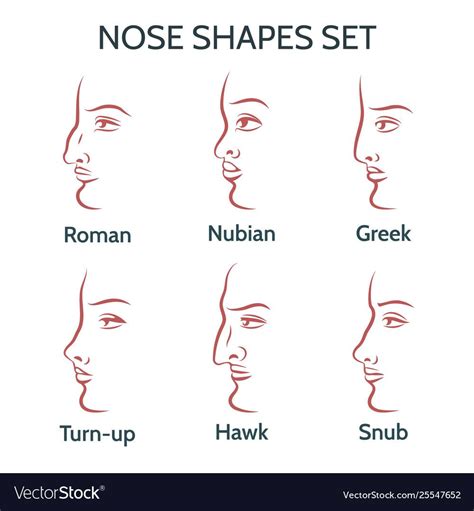 Check spelling or type a new query. Contour nose shapes set Royalty Free Vector Image , #sponsored, #shapes, #set, #Contour, #nose # ...