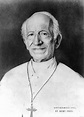 Papa León XIII - Enciclopedia Católica