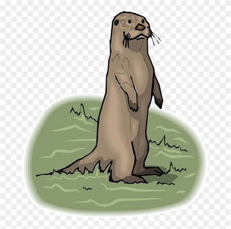 Otter Clipart Standing Otter Standing Transparent Free For Download On