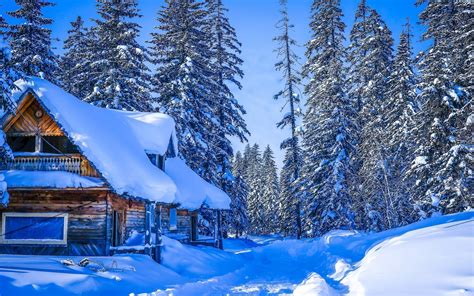 Winter Thick Snow Khabarovsk Krai Russia House Forest Trees