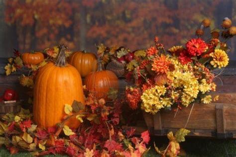 Fall Scene With Pumpkins And Colored Leaves Stock Photo 5661952 Fall