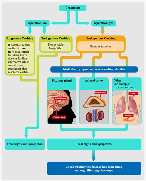 Cushings Syndrome Infographic Adrenalseu