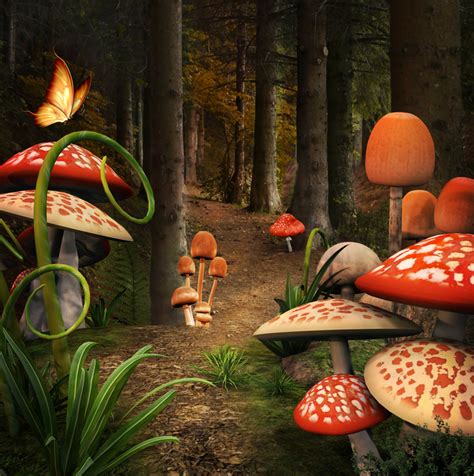 How Psilocybin Magic Mushrooms Reconnect Us With Nature