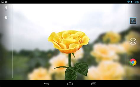 Select drops types which take place on your your device screen. 3D Rose Live Wallpaper - Android Apps on Google Play