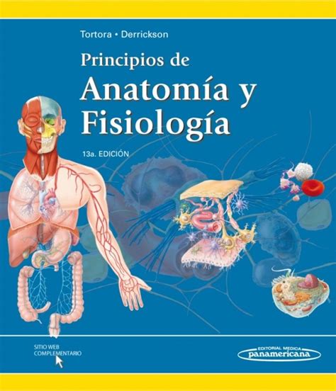 Principios De Anatomía Y Fisiología 13va Edición Gerard J Tortora
