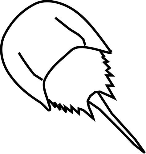 Horseshoe Crab by @Gosc, A line drawing of a horseshoe crab., on @openclipart | Crab tattoo