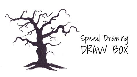 Creepy Tree Drawing At Explore Collection Of