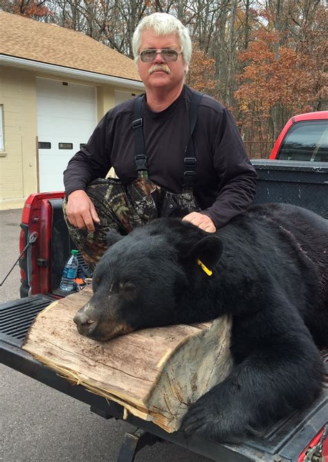 Record Number of Black Bears Harvested During 2015 Maryland Hunt