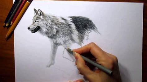 Https://techalive.net/draw/how To Draw A 3d Model Wolf
