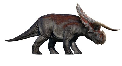 Jurassic World Male Nasutoceratops Render 1 By Tsilvadino On Deviantart