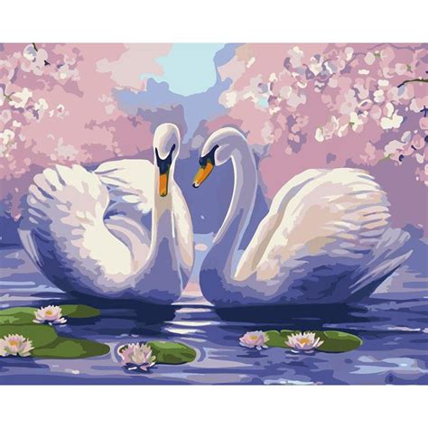 Diy Painting By Numbers Swans 16x20 40x50cm Moreascraft