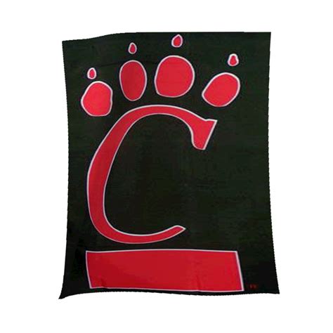 University Of Cincinnati Banner