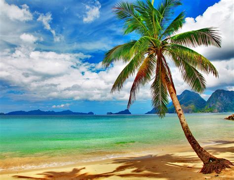 Tropical Beaches Desktop Wallpaper K