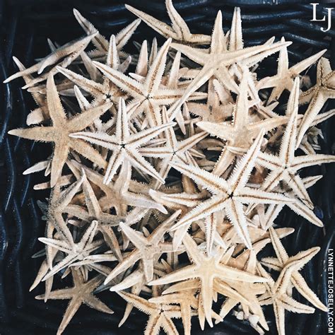 Lynnette Joselly: Shop With Me: Flea Market Adventures + Giveaway