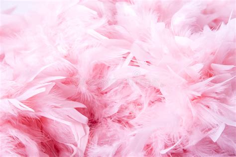 Pink Soft Feathers Background Stock Image Image Of Luxury Background