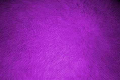 Purple Fur Texture Picture | Free Photograph | Photos Public Domain