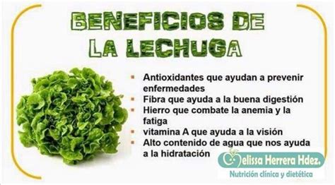 Lechuga Parsley Herbs Food Benefits Of Herbal Medicine Vitamins