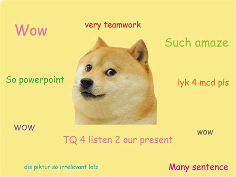 Dogecoin Such Wow Cryptocurrency That Aims To Help