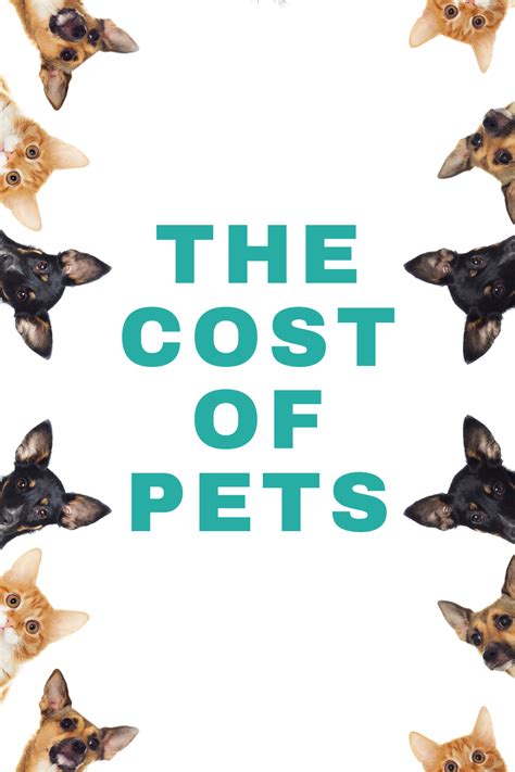 $100 a year for annual vet check and shots. How much does it cost to own a dog or cat? in 2020 ...