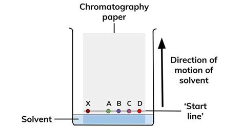 Paper Chromatography Inorganic Compound Ion Exchange Resin Acetic