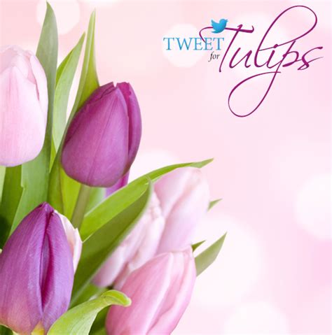 Flowers with same day delivery, we guarantee the florist arranged flowers will be delivered today! Tweet for Tulips: Celebrating International Women's Day ...