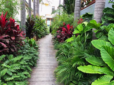 Small Tropical Gardens Tropical Garden Design Backyard Garden Design