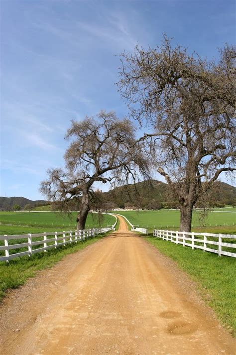 Country Road Stock Photo Image Of Street Country Equine 687558