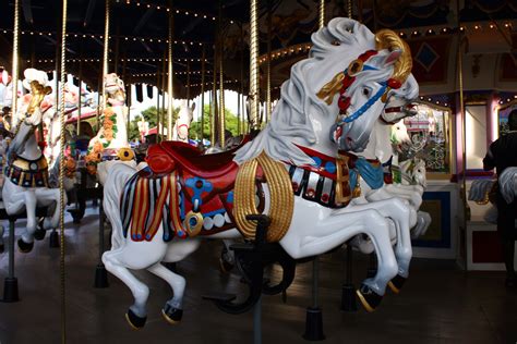 Cinderellas Carousel Horses Disney World Magic Kingdom Fun