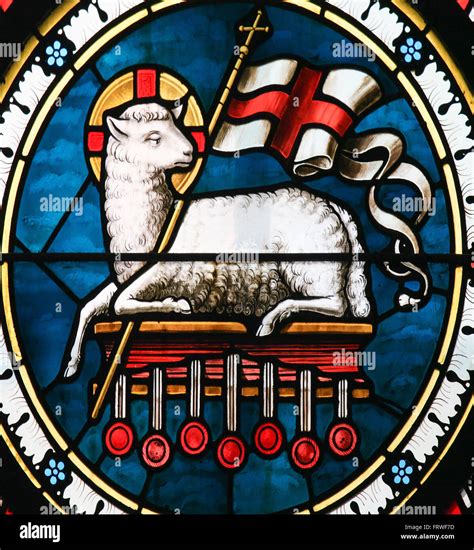 Agnus Dei Stained Glass Of A Lamb Holding A Christian Banner Symbol