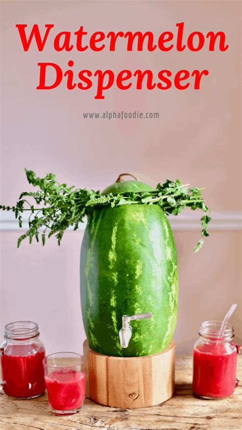 4 Ways To Juice A Watermelon Watermelon Keg Alphafoodie