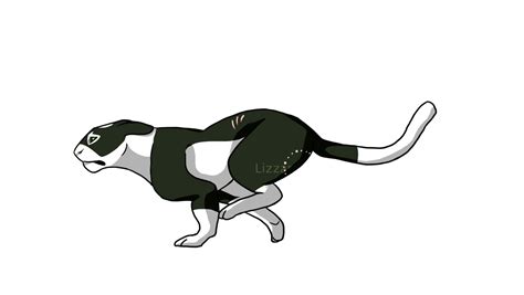 Cat Running Animation Cats Anime Drawing