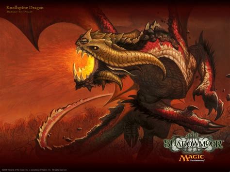 Free Download Draconomicon Metallic Dragons Dungeons Dragons Metallic
