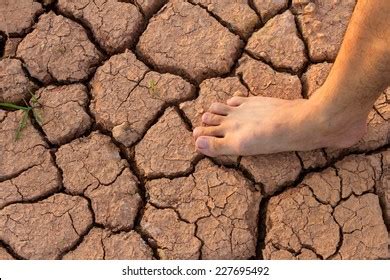 Naked Human Barefeet On Dry Soil Stock Photo Shutterstock