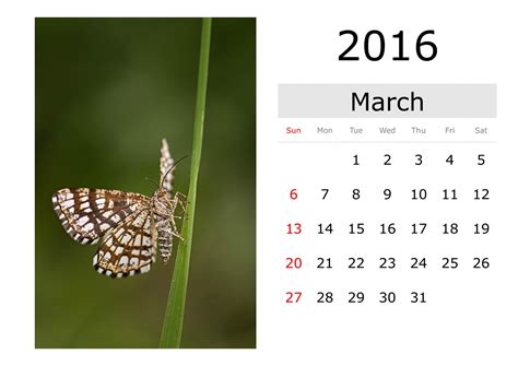 Calendar March 2016 English Free Stock Photo Public Domain Pictures