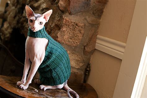 Ravelry Queen Bean Sphynx Cat Sweater Pattern By Abbie Sanderson