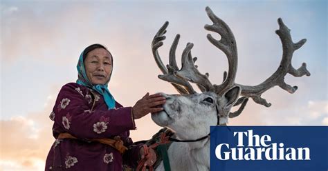 The Reindeer Herders Of Mongolia In Pictures News The Guardian