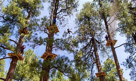 Flagstaff Extreme Adventure Course In Flagstaff Az Groupon