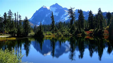 Mount Shuksan Podzimní Září širokoúhlý Lake Washington Stromy Fall