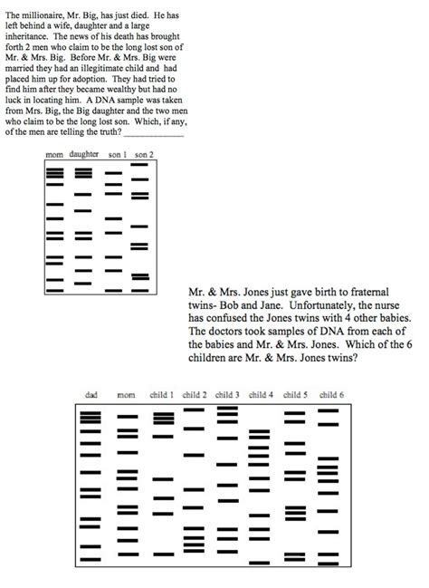 Allow students time to answer question 2 and revise their groupings if they wish. DNA Fingerprinting Worksheet Answer Key