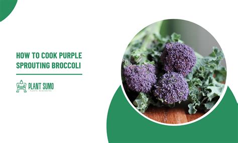 How To Cook Purple Sprouting Broccoli Broccoli Receipes