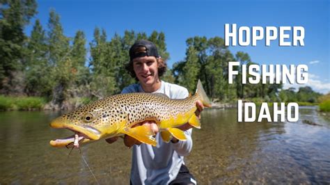 Fly Fishing Late Summer Hoppers In Idaho Youtube