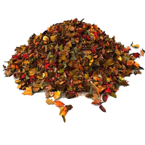 Pile Of Autumn Leaves Png File Transparent Png Image Pngnice