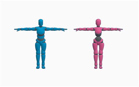 3d Design Male And Female Poseable Figures Tinkercad