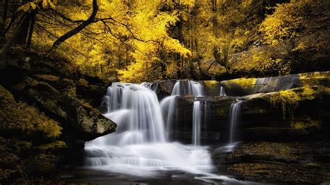 Waterfall In The Autumn Forest Phone Wallpapers