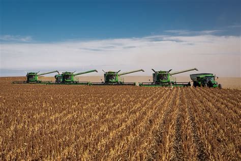 Wheat Harvest Dan Sre