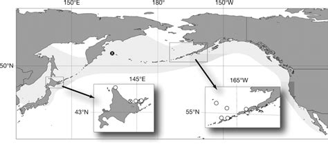 Berardius minimus , & in et al., 2019: Berardius minimus localities plotted against the B ...