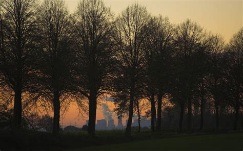 Wallpaper Sunlight Landscape Forest Sunset Nature Grass Branch